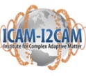 ICAM logo